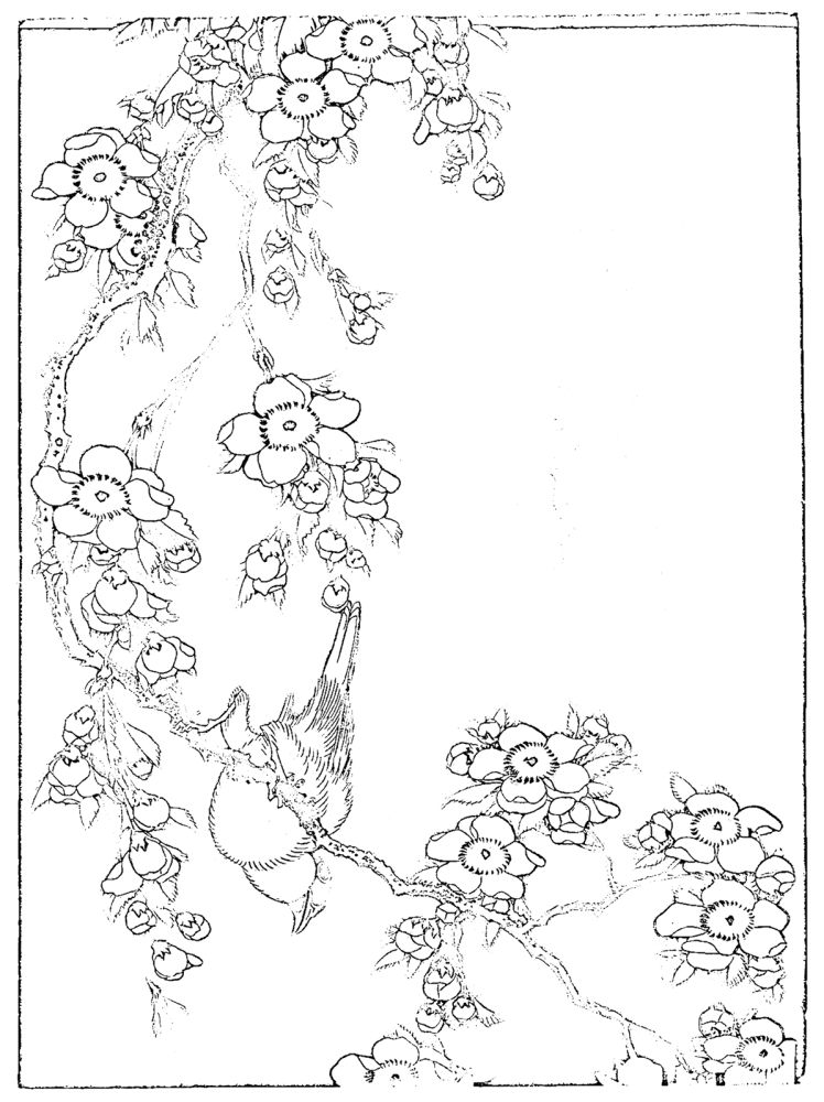 浮世絵の塗り絵 葛飾北斎『鷽　垂桜』