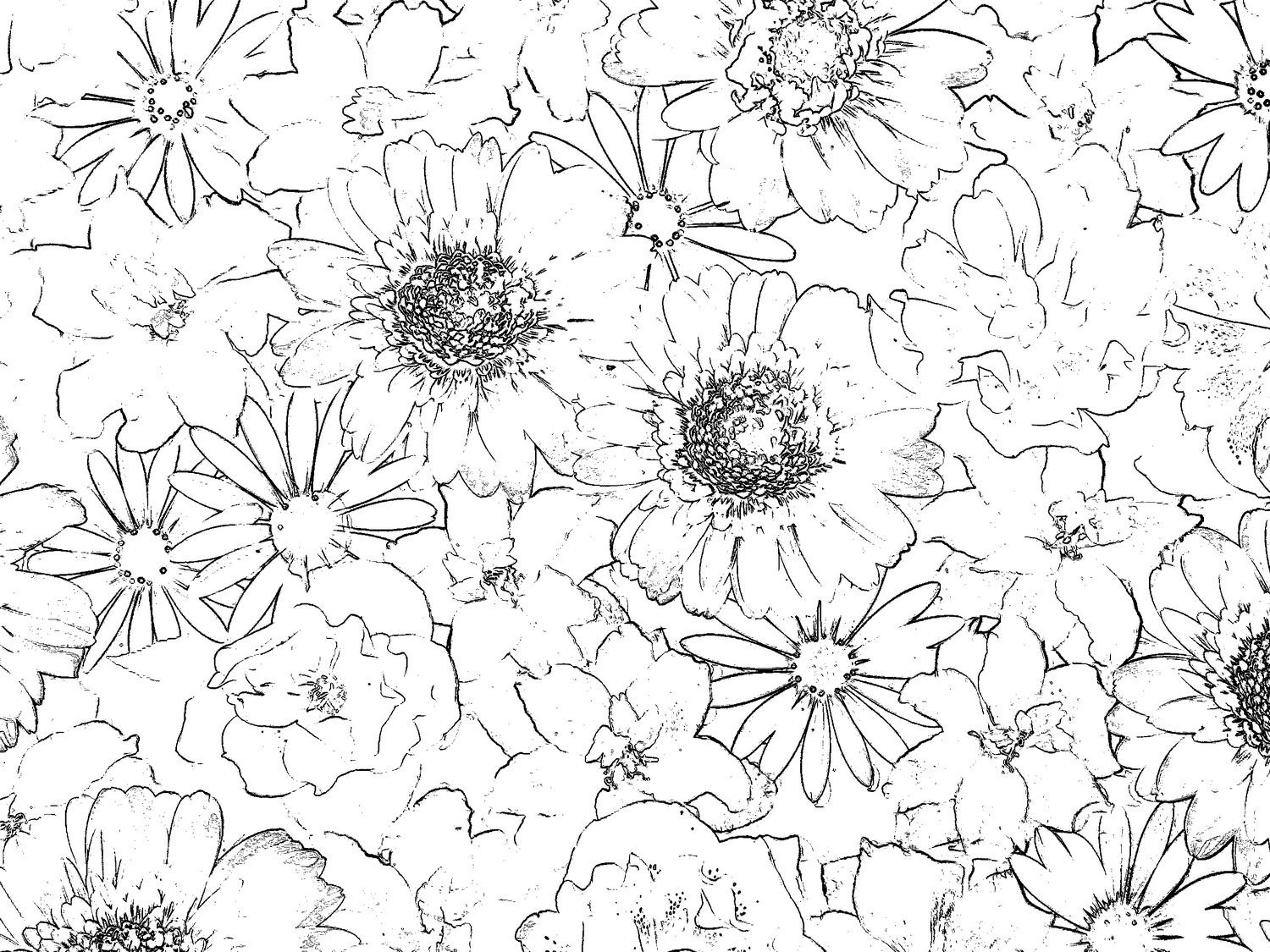 flower coloring book-02