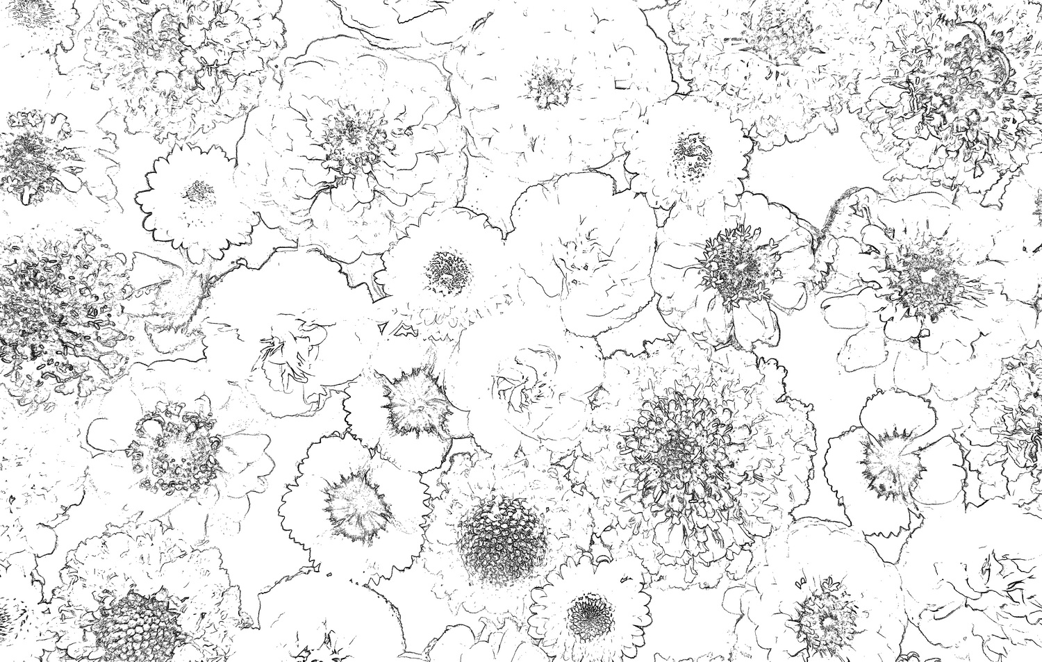 flower coloring book-03