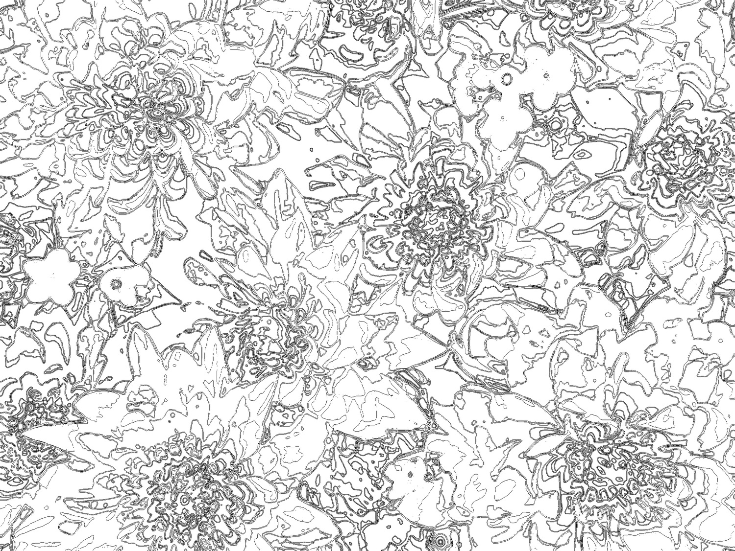 flower coloring book-06