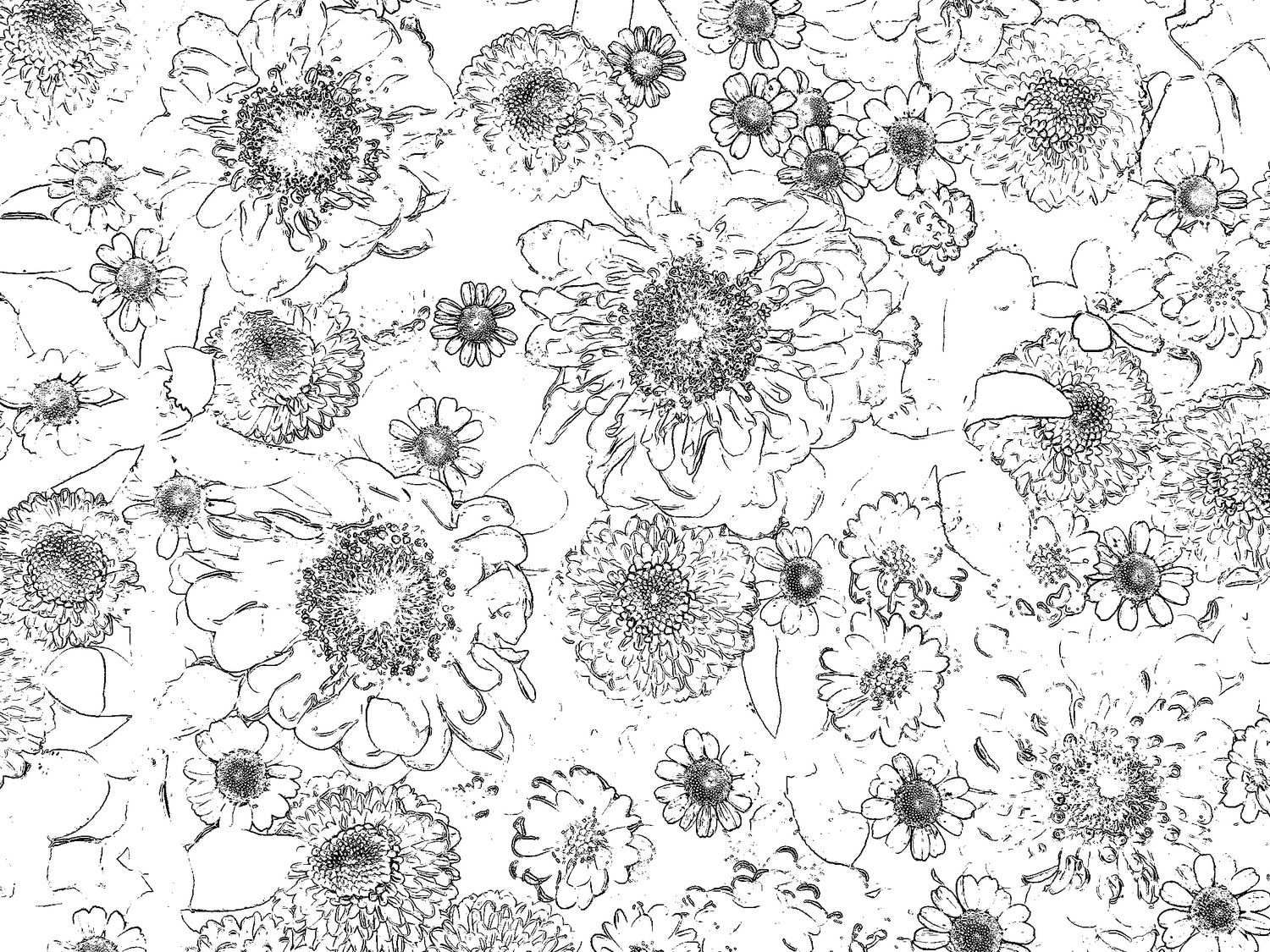 flower coloring book-05