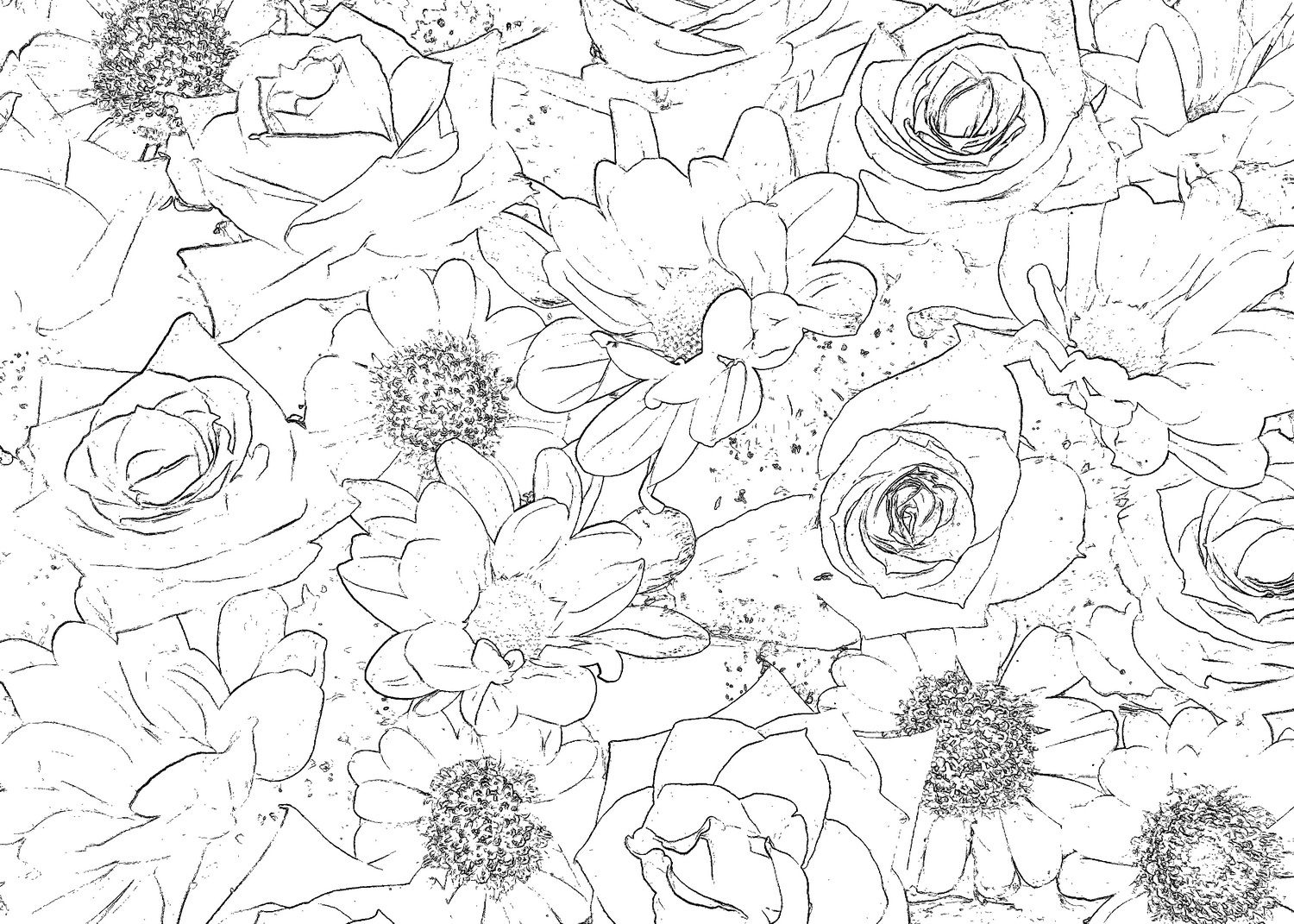 flowers coloring book